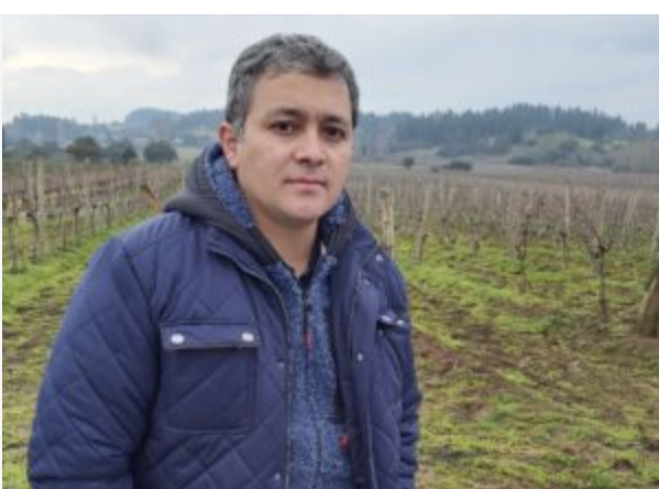 Víctor Vargas, enólogo de Viña Cortez