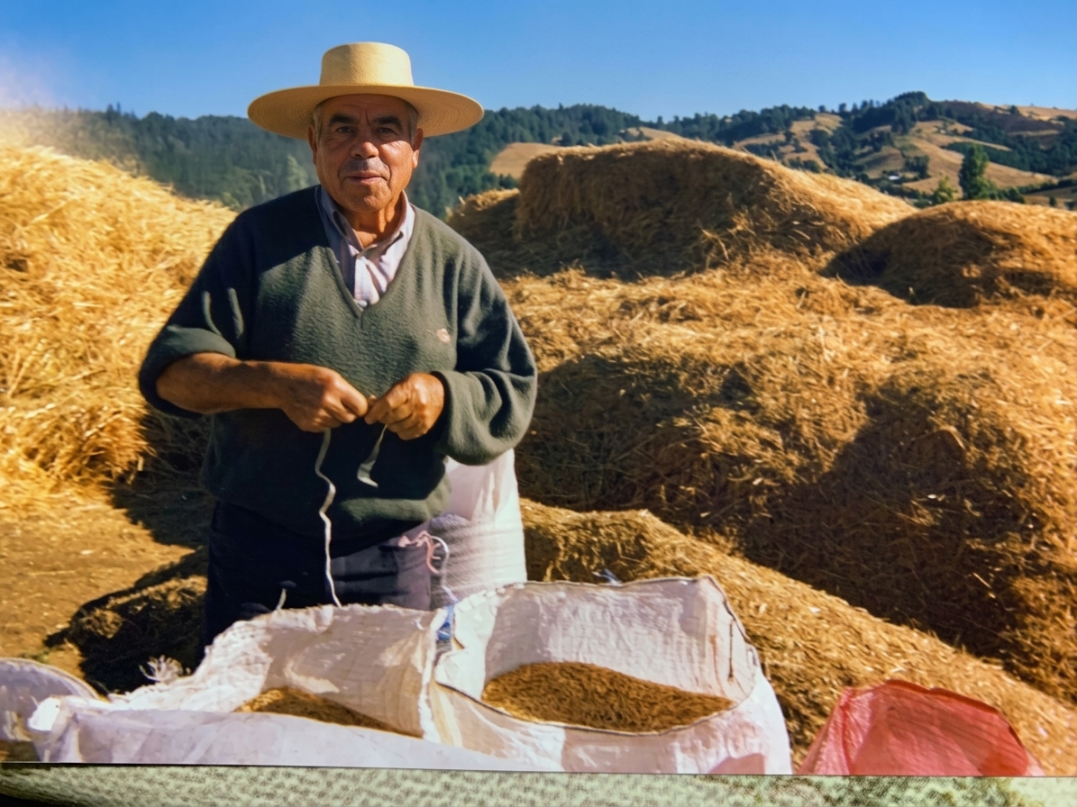 Don Demetrio Cortez trabajando en el campo en Portezuelo
